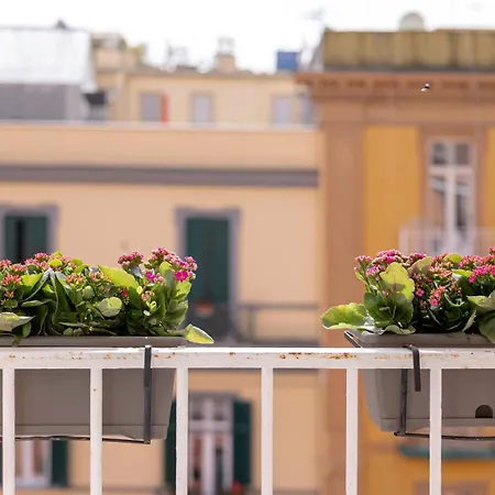 Riviera Collection - And 住宿加早餐酒店 3*