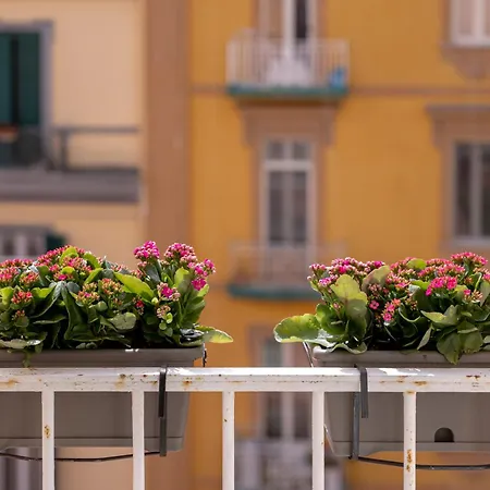 Riviera Collection - And 住宿加早餐酒店 3*